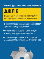 Дисковая фреза ЗУБР Профессионал ДФЛ 6, 100х22.2мм, 6 резцов 36970-100
