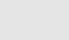 Параллельная струбцина PA 60/35, BESSEY, ( BE-PA55 )