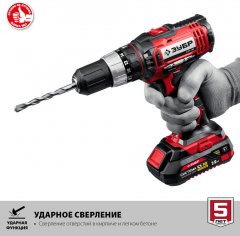 Ударная дрель-шуруповер ЗУБР 18В, 2 АКБ 2Ач, в кейсе ДШУ-185-22