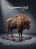 ЗУБР 130 кг, 150 мм подъем, нейлоновый корпус, стальная хромированная рейка, подъемник универсальный (33197)