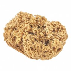 Губка натуральная для декоративных покрытий Matrix 86817