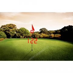 Оптический дальномер Leica Pinmaster II Pro с калибровкой