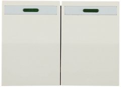 Двухклавишный выключатель с индикатором СВЕТОЗАР ЭФФЕКТ, SV-54435-B