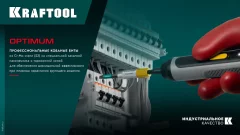 KRAFTOOL OPTIMUM PH 2, 200 мм, 2 шт, биты (26122-2-200-2)