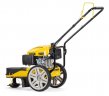 Бензиновая газонокосилка CHAMPION LMH5629