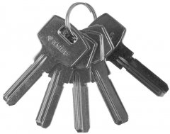 Заготовка ключа ЗУБР "Эксперт" для цилиндровых механизмов компьютерный тип 5 шт. 52196_z01
