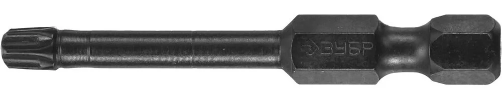 Биты ПРОФИ T25 (2 шт; 50 мм; 1/4") ЗУБР 26025-25-50-S2
